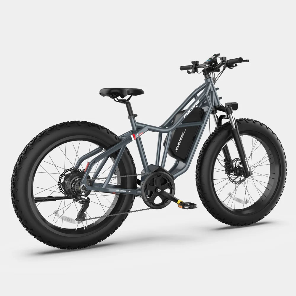 Taurus mountain cross-country ebike