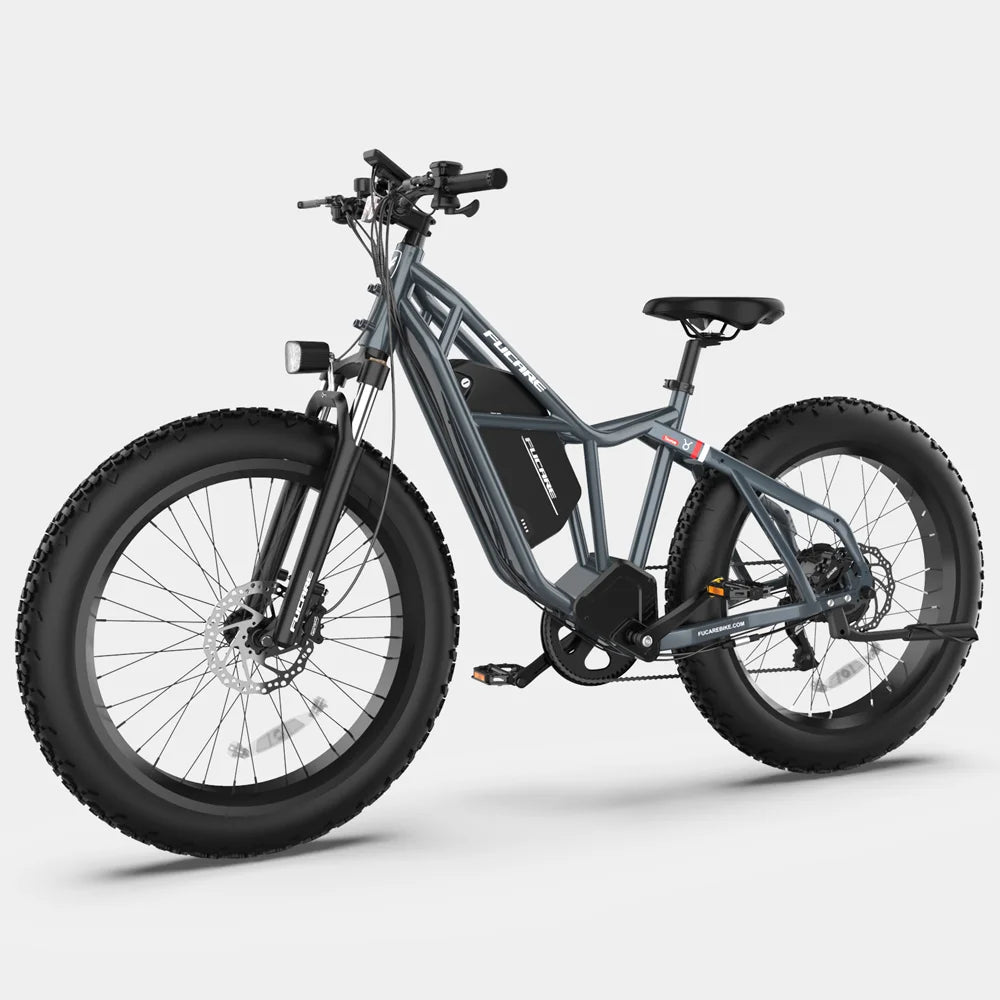 Taurus mountain cross-country ebike