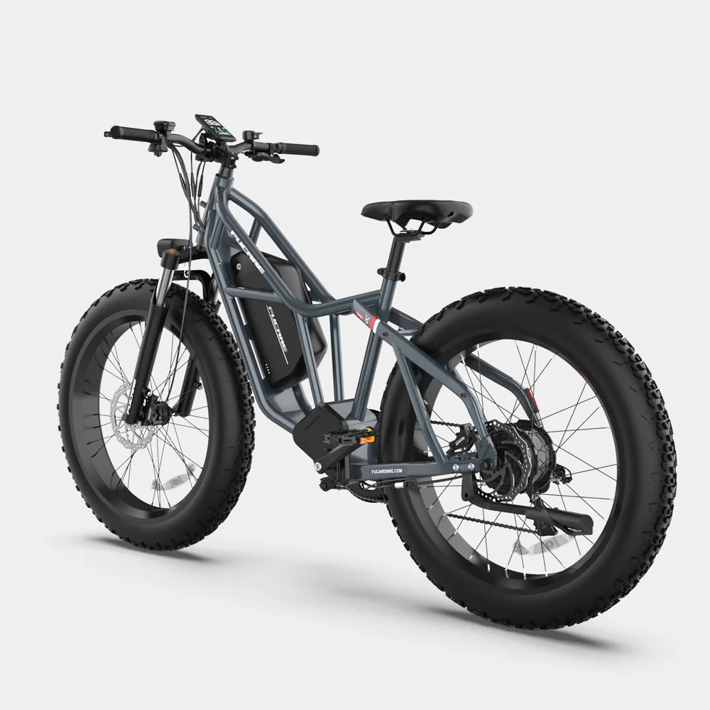 Taurus mountain cross-country ebike